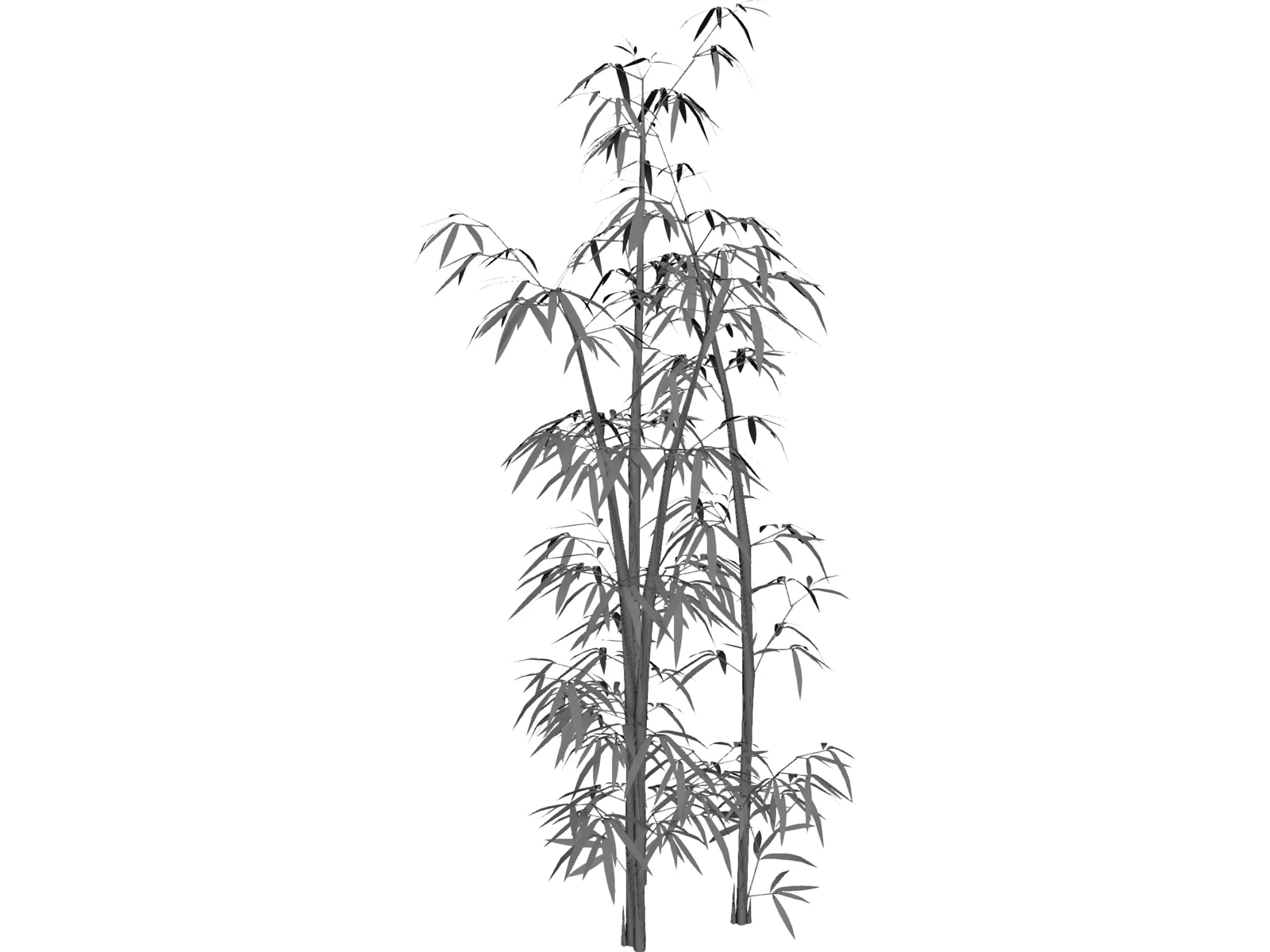Drawing Of Bamboo Trees In An Outline Style Sketch Vector,coloring Book,bamboo  Tree Line Art PNG Image Free Download And Clipart Image For Free Download -  Lovepik | 380532371