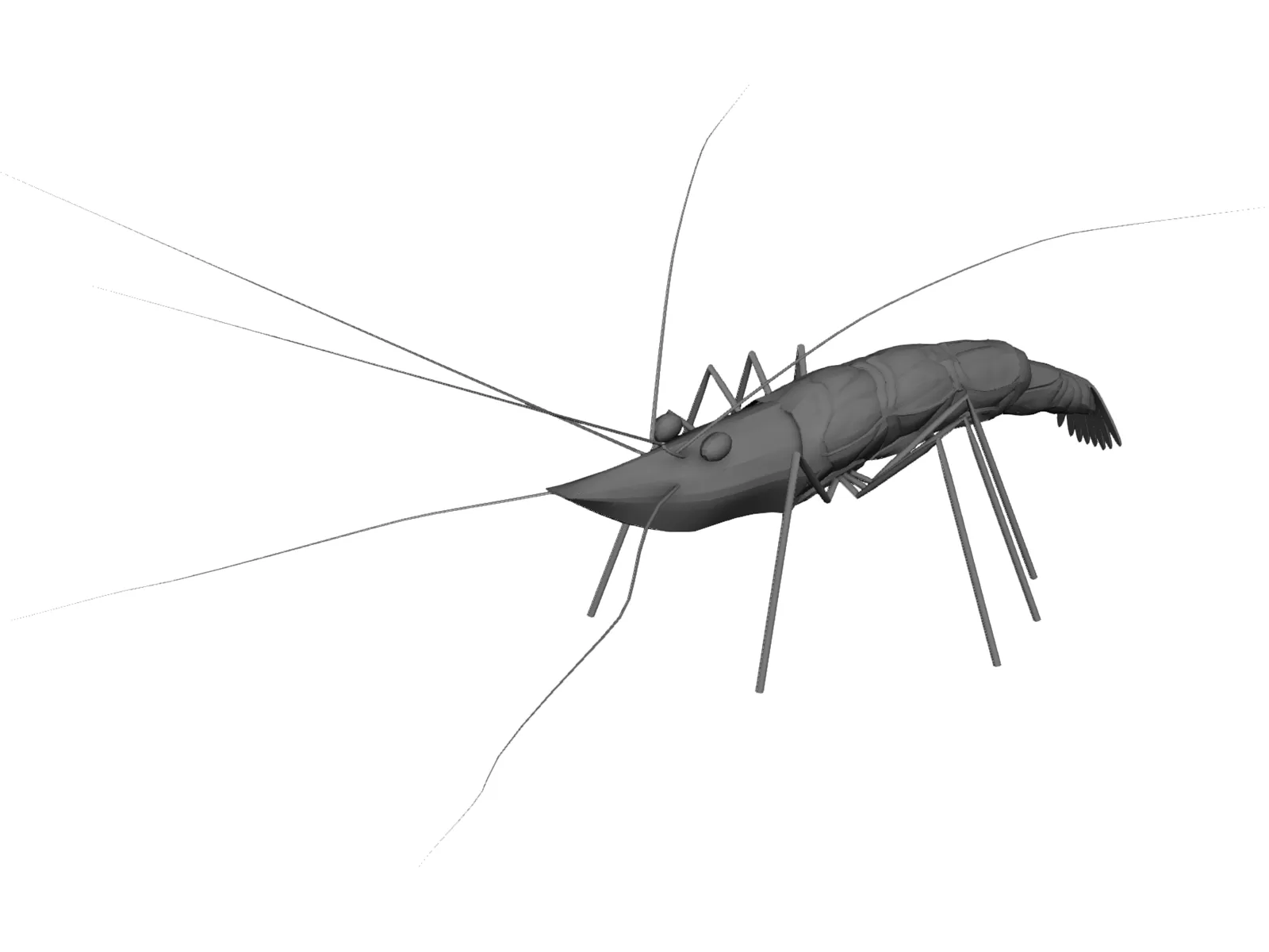 Shrimp Toy | 3D model