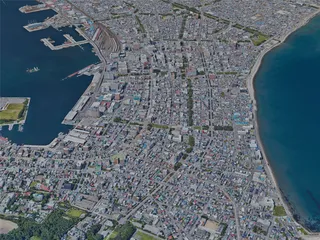 Hakodate City, Japan (2022) 3D Model