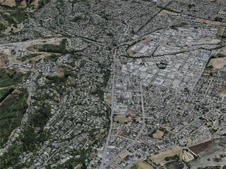 Nelson City, New Zealand (2022) 3D Model