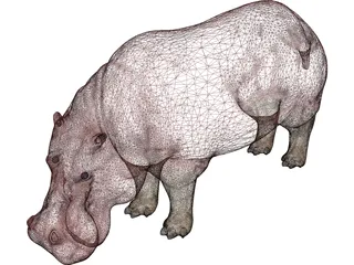 Hippopotamus 3D Model