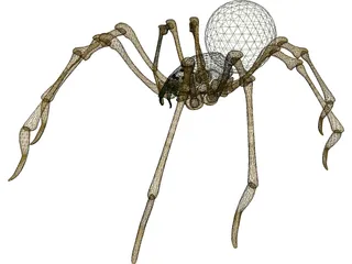 Spider 3D Model