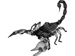 Scorpion (Arachnid Scorpionida) 3D Model