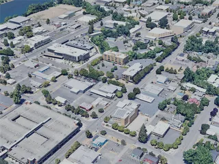 Salem City, OR, USA (2023) 3D Model