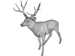 Stag 3D Model