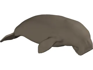 Dudongo 3D Model