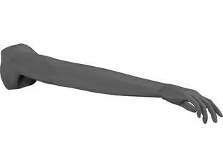 Arm Male 3D CAD Model - 3D CAD Browser