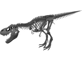 Tyrannosaurus Rex Skeleton 3D Model