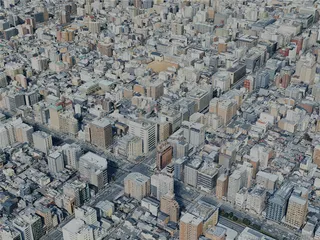 Kyoto City, Japan (2024) 3D Model