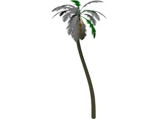 Tree Palm 3D Model
