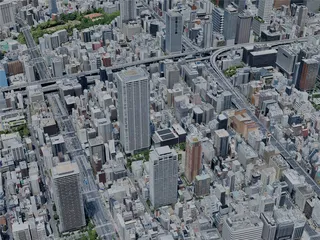 Osaka City, Japan (2024) 3D Model