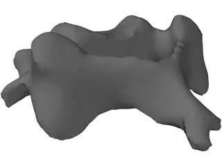 Vertebra 3D Model