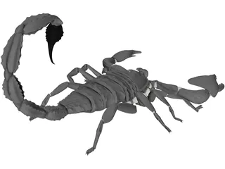 Scorpion (Arachnid Scorpionida) 3D Model