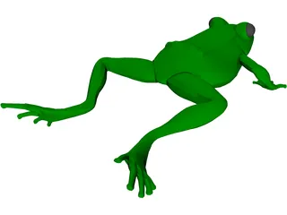 Frog 3D Model