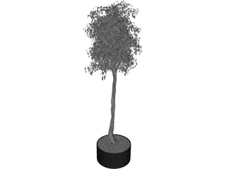 Arbol Tree 3D Model