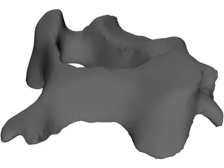 Vertebra 3D Model