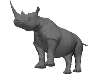 Rhino 3D Model