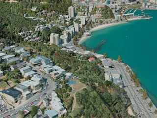 Wellington City, New Zealand (2020) 3D Model