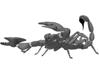 Scorpion (Arachnid Scorpionida) 3D Model