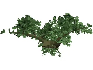 Tree 3D Model