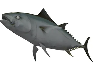 Tuna 3D Model