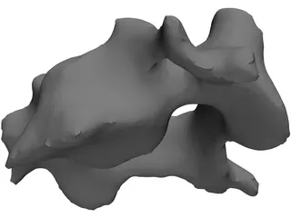 Vertebra 3D Model